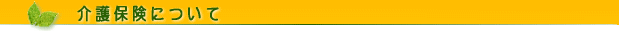 ���ی��ɂ���