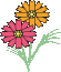 �F�m�ǂ�����